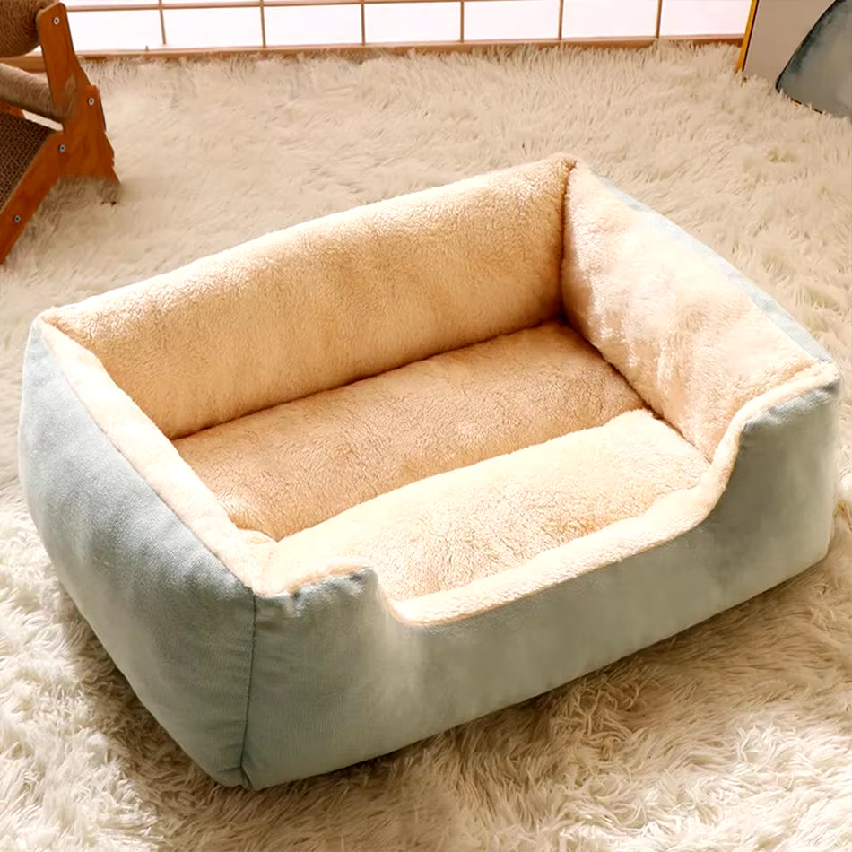 Bed for Cats Pet Products Cushions Kitten Goods Accessories Dog All Houses Supplies Things Accessory Habitats Basket House Beds