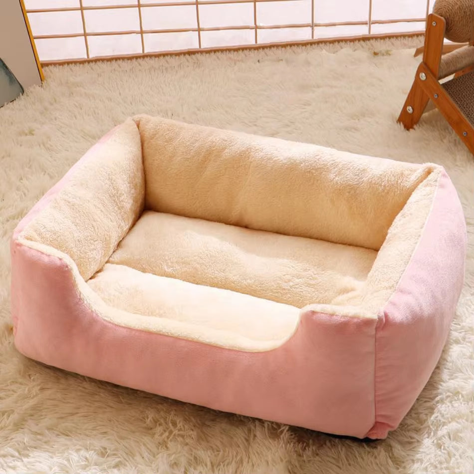 Bed for Cats Pet Products Cushions Kitten Goods Accessories Dog All Houses Supplies Things Accessory Habitats Basket House Beds