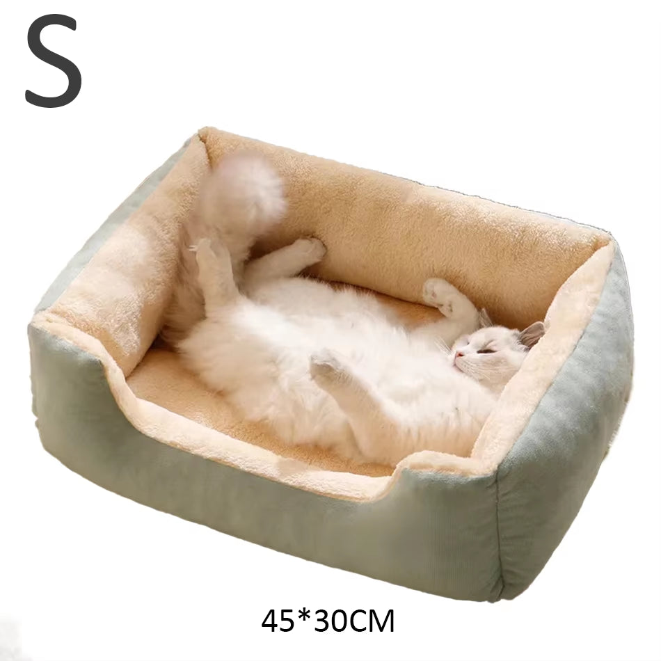 Bed for Cats Pet Products Cushions Kitten Goods Accessories Dog All Houses Supplies Things Accessory Habitats Basket House Beds