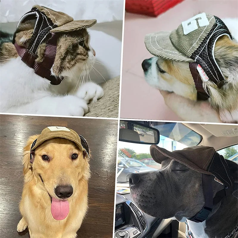 Dog Baseball Cap