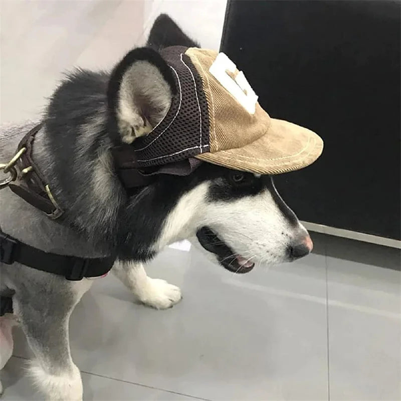 Dog Baseball Cap