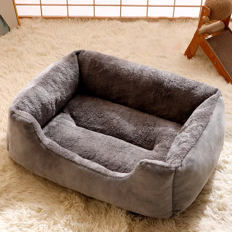 Bed for Cats Pet Products Cushions Kitten Goods Accessories Dog All Houses Supplies Things Accessory Habitats Basket House Beds